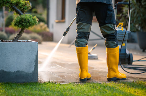 Best Pressure Washing Company Near Me  in Seaside Park, NJ